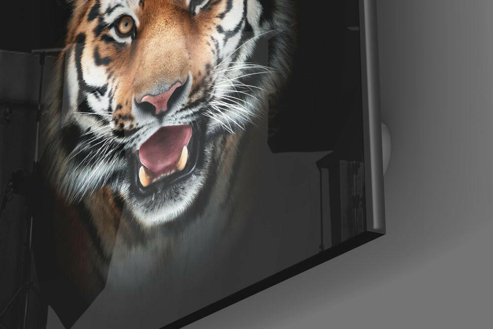 Tiger Glass Wall Art.