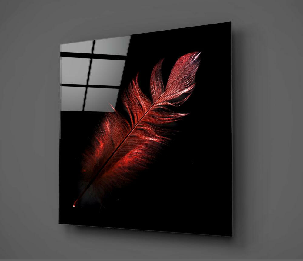 Colored Feather Glass Wall Art.