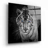 Tiger Glass Wall Art.