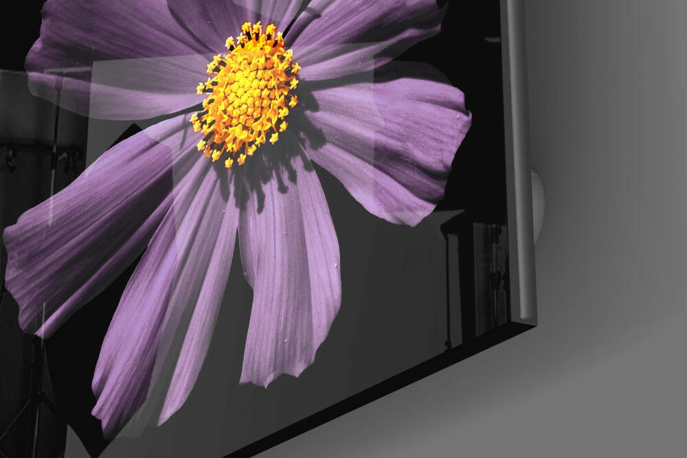 Pink Flower Glass Wall Art.