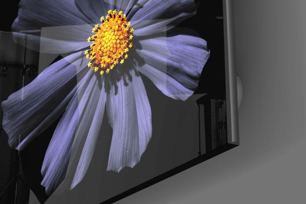 Purple Flower Glass Wall Art.