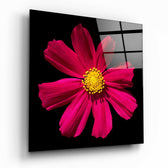 Red Flower Glass Wall Art.