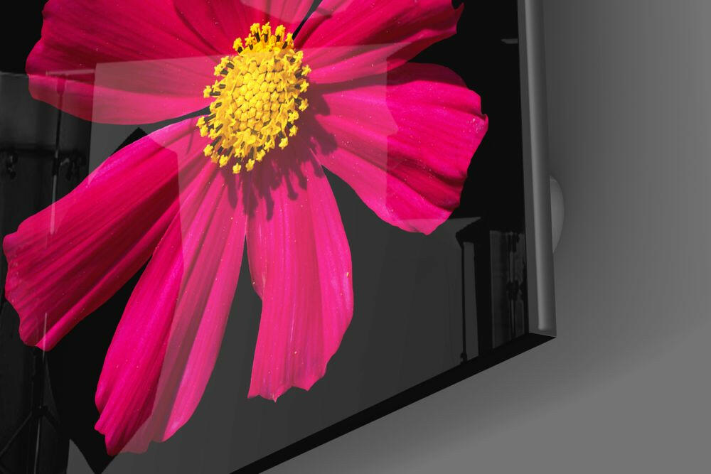 Red Flower Glass Wall Art.