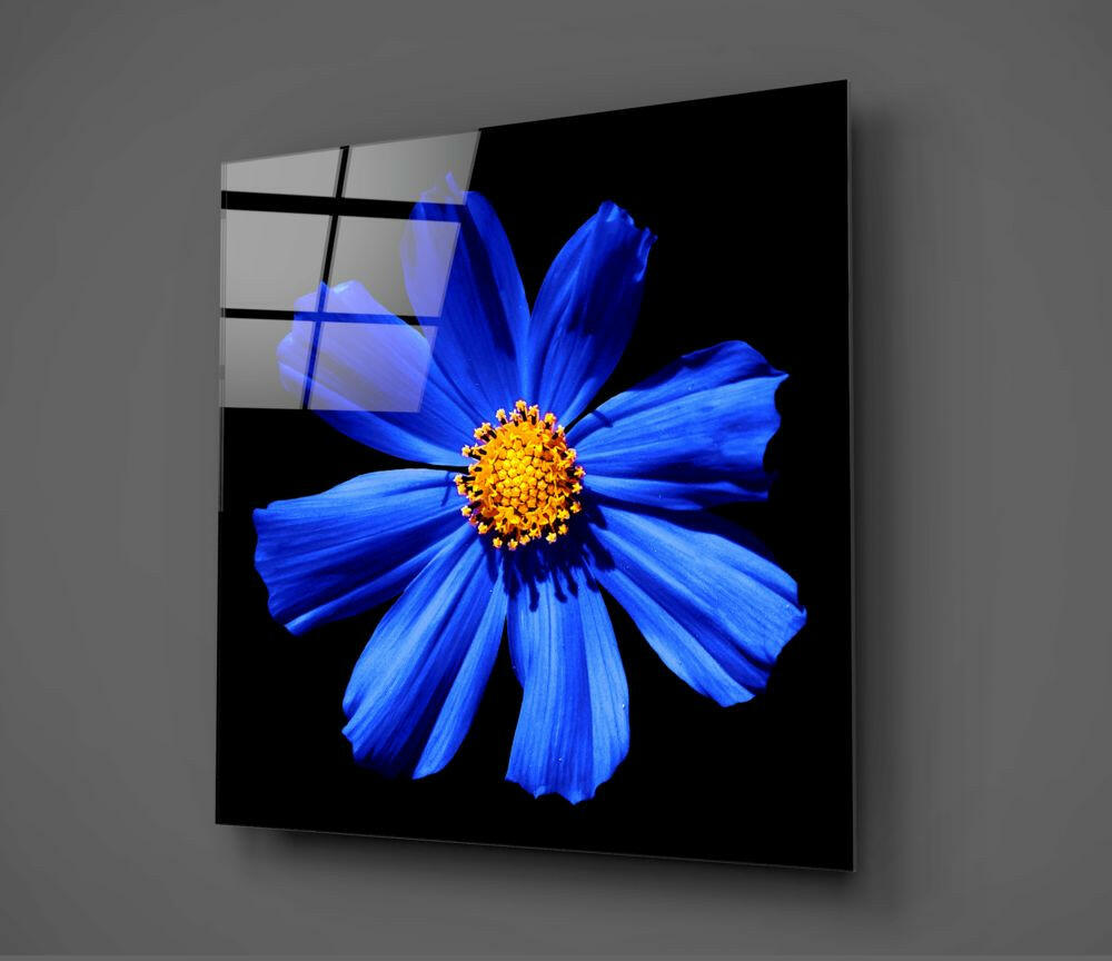 Blue Flower Glass Wall Art.