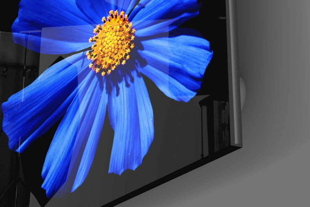 Blue Flower Glass Wall Art.