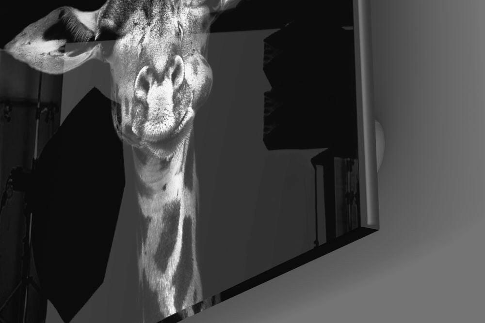 Giraffe Glass Wall Art.