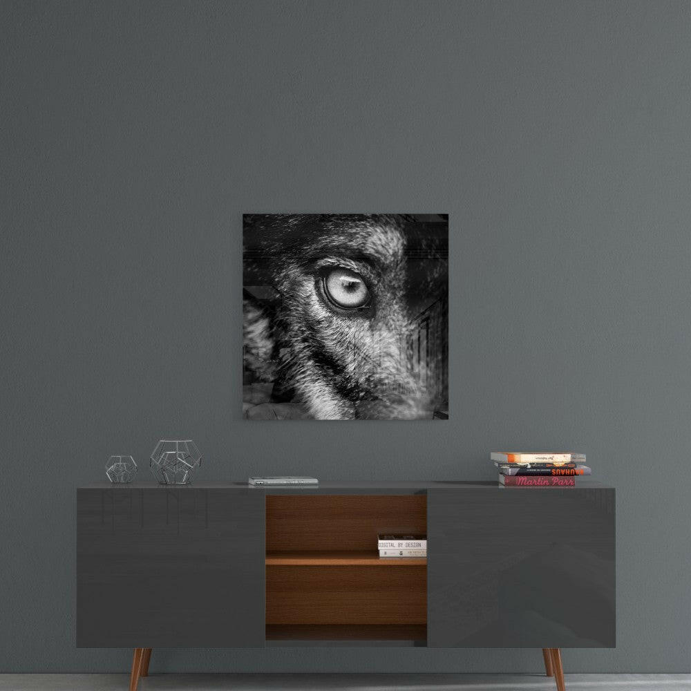 Wolf's Eye Glass Wall Art.