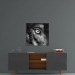 Wolf's Eye Glass Wall Art.