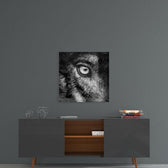 Wolf's Eye Glass Wall Art.