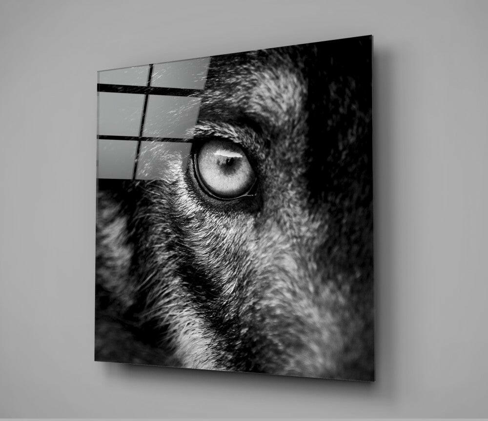 Wolf's Eye Glass Wall Art.