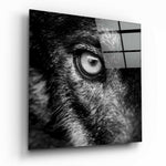 Wolf's Eye Glass Wall Art.