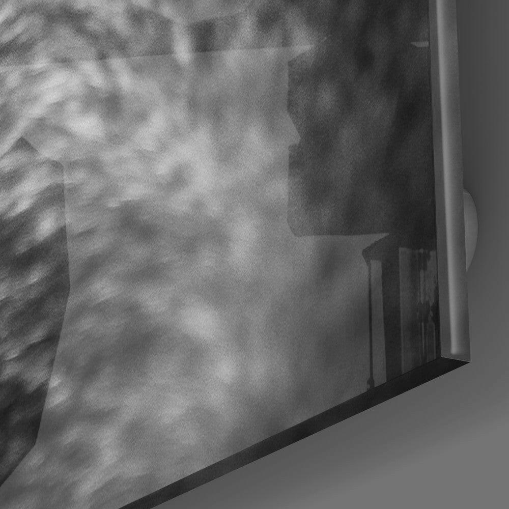 Wolf's Eye Glass Wall Art.