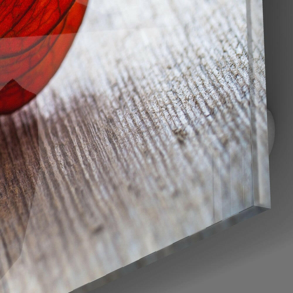 Dry Leaf Glass Wall Art.