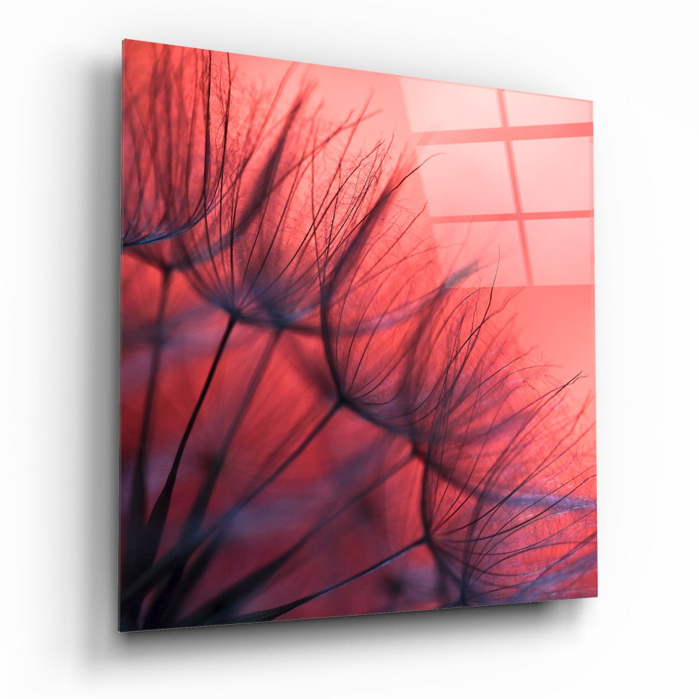 Red Dandelion Glass Wall Art | Insigne Art Design