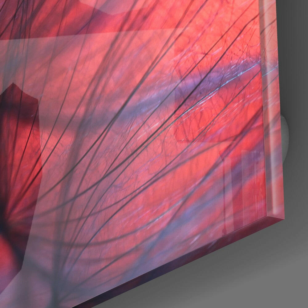 Red Dandelion Glass Wall Art.