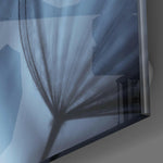 Dandelion Tranquility Glass Wall Art.
