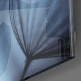 Dandelion Tranquility Glass Wall Art.