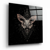 Da Vinci Style Butterfly Glass Wall Art.