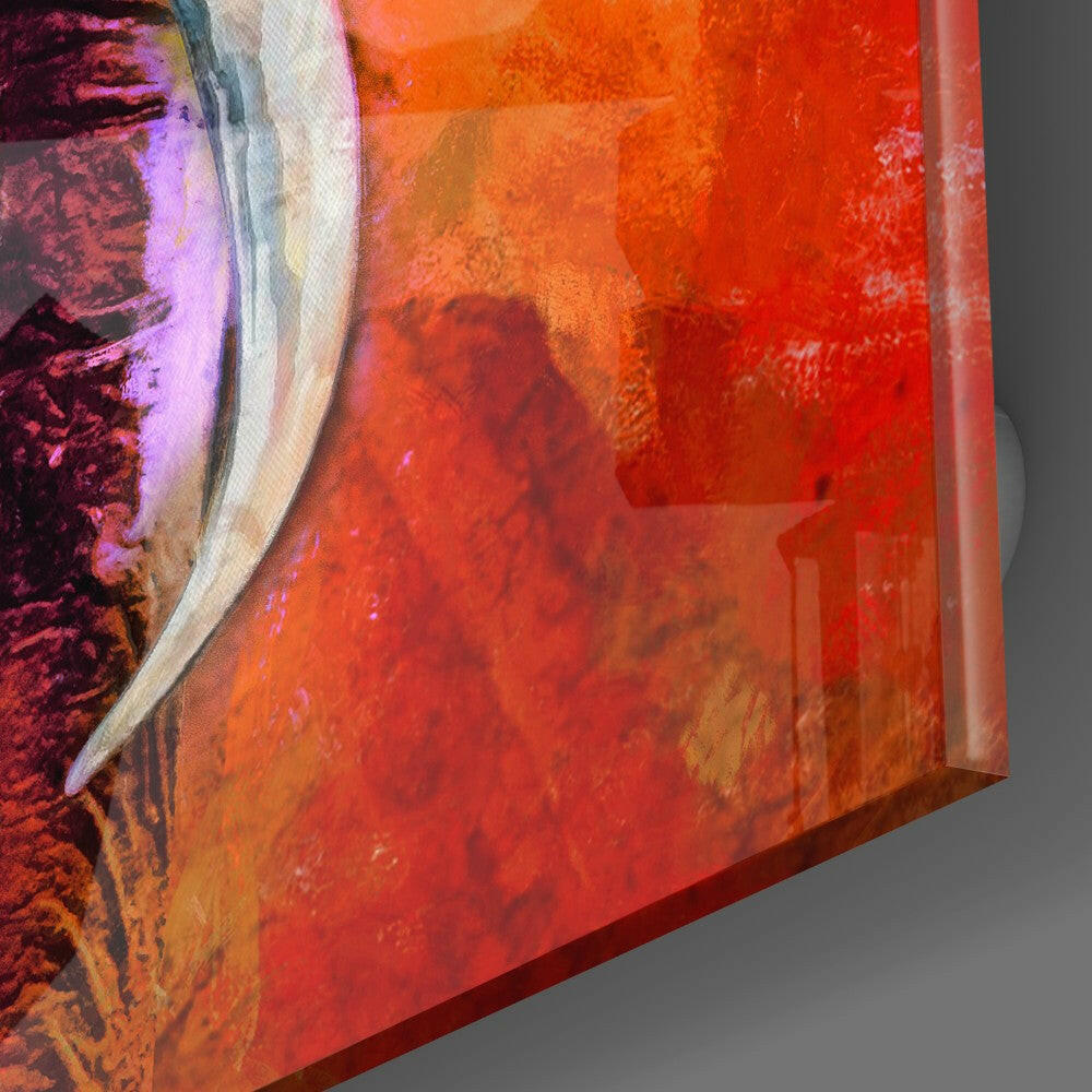 Colorful Elephant Glass Wall Art.