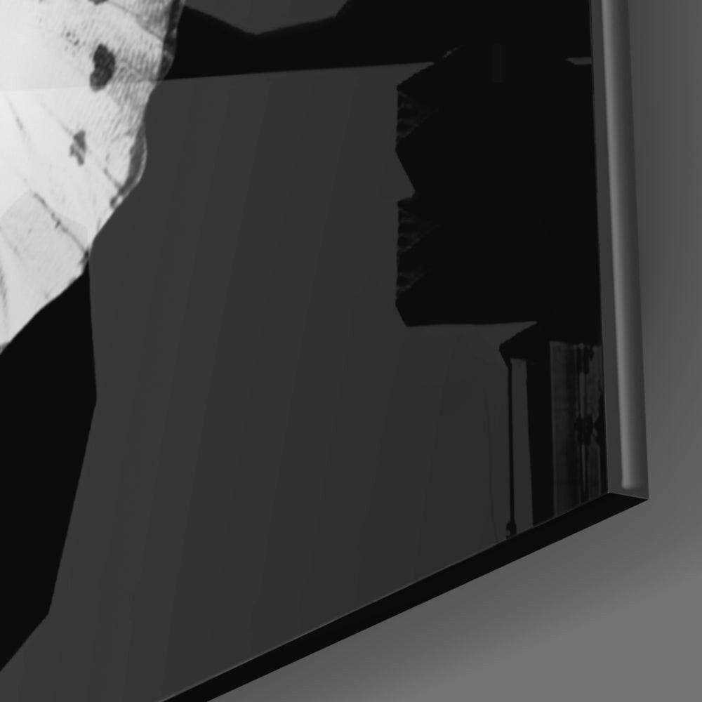 The Elegance of the Butterfly Glass Wall Art.