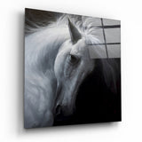 Horse Glass Wall Art | Insigne Art Design