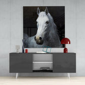 Horse Glass Wall Art.