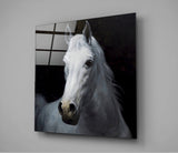 Horse Glass Wall Art | Insigne Art Design