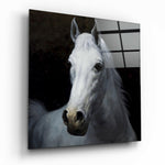 Horse Glass Wall Art.