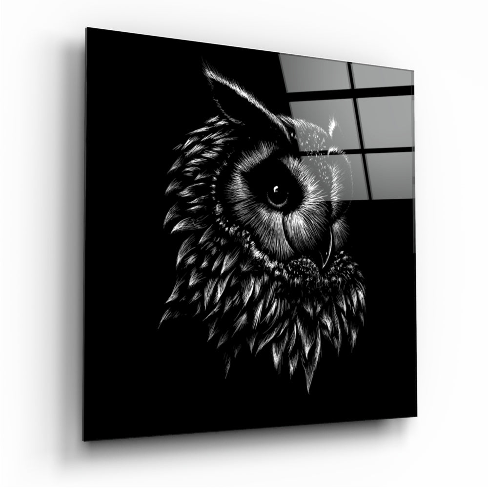 Owl Glass Wall Art | Insigne Art Design
