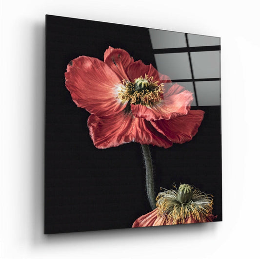 Flower Glass Wall Art.