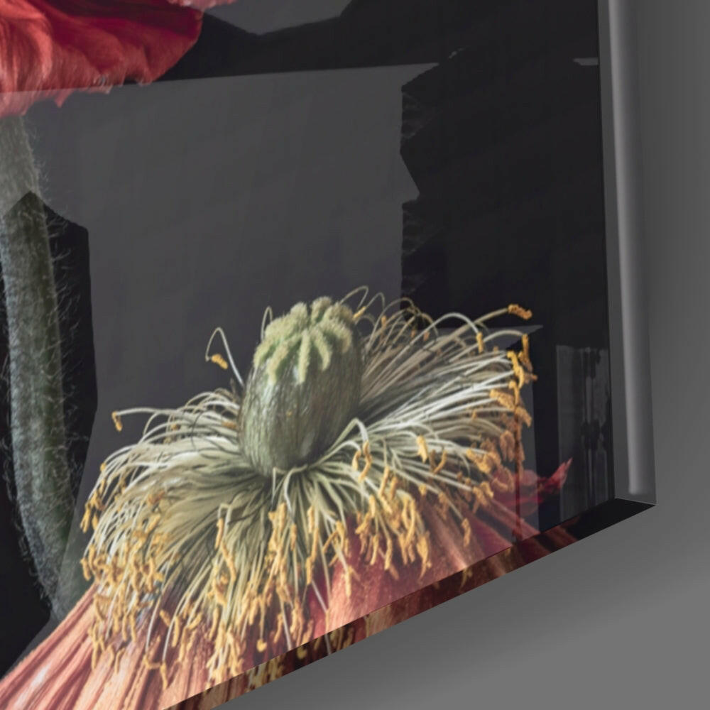 Flower Glass Wall Art.