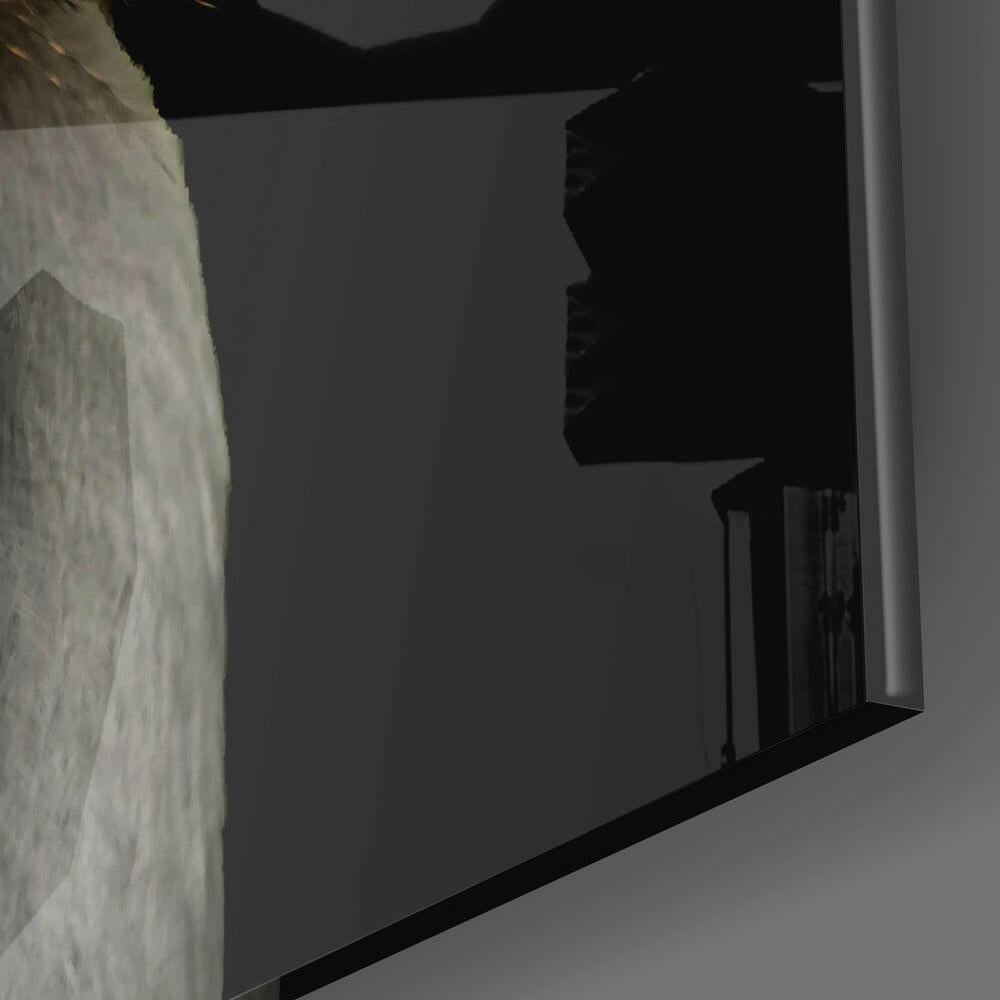 Black Crowned Crane.