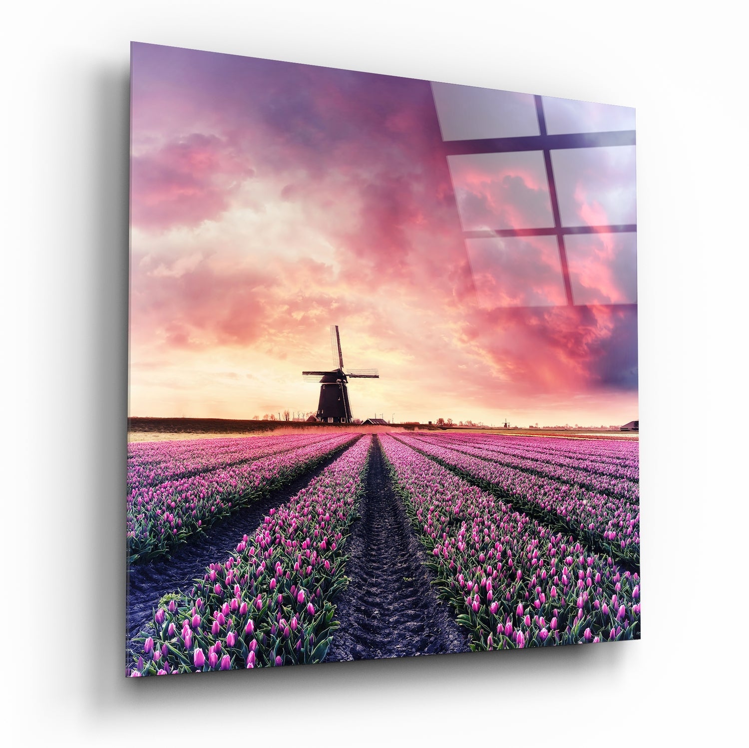 Tulip Field Glass Wall Art | Insigne Art Design