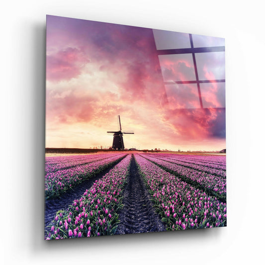 Tulip Field Glass Wall Art.