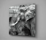 Elephant Glass Wall Art.