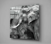 Elephant Glass Wall Art.