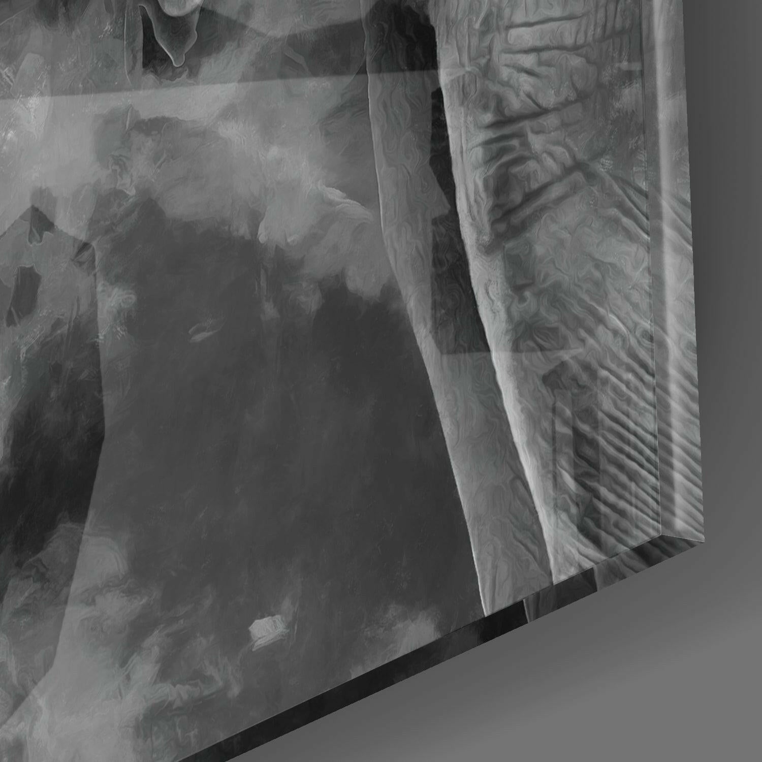 Elephant Glass Wall Art.