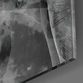 Elephant Glass Wall Art.
