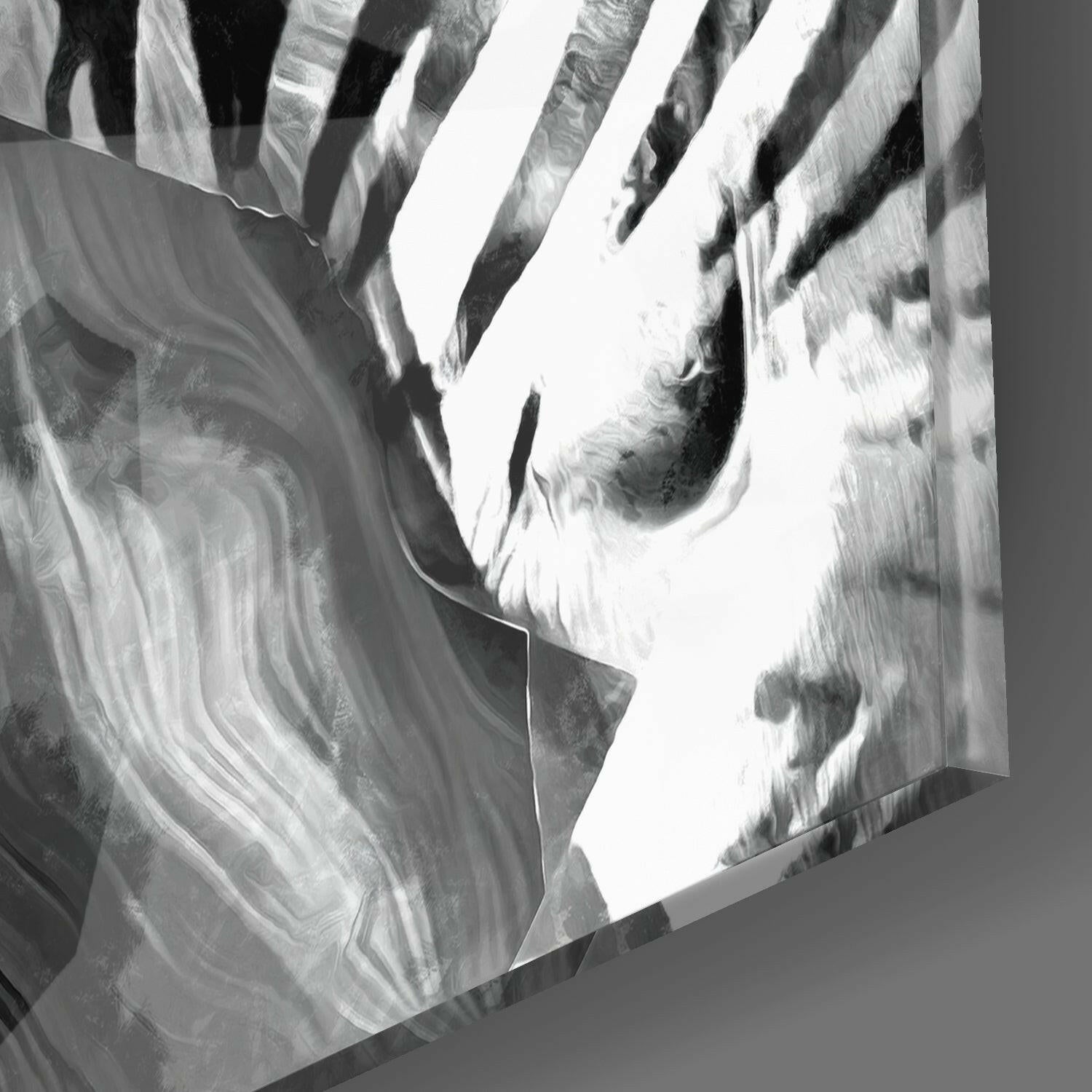 Zebra Glass Wall Art.