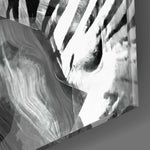 Zebra Glass Wall Art.