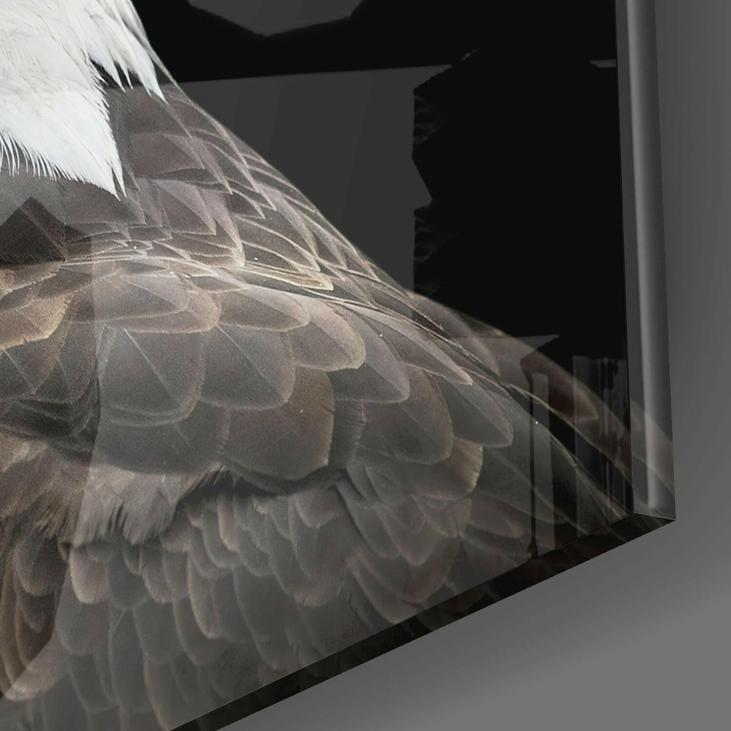 Eagle Glass Wall Art.
