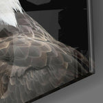 Eagle Glass Wall Art.