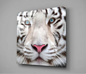 White Tiger Glass Wall Art.