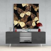 Butterflies Glass Wall Art.