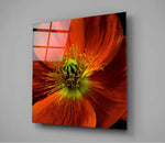 Flower Glass Wall Art.
