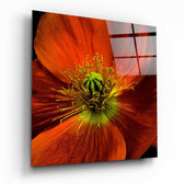 Flower Glass Wall Art.