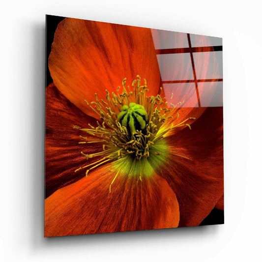 Flower Glass Wall Art.