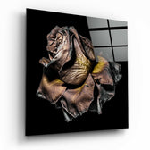 Dried Rose Glass Wall Art.