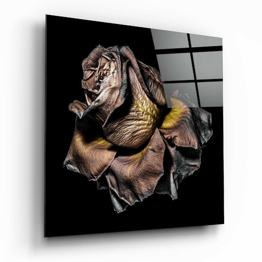 Dried Rose Glass Wall Art.