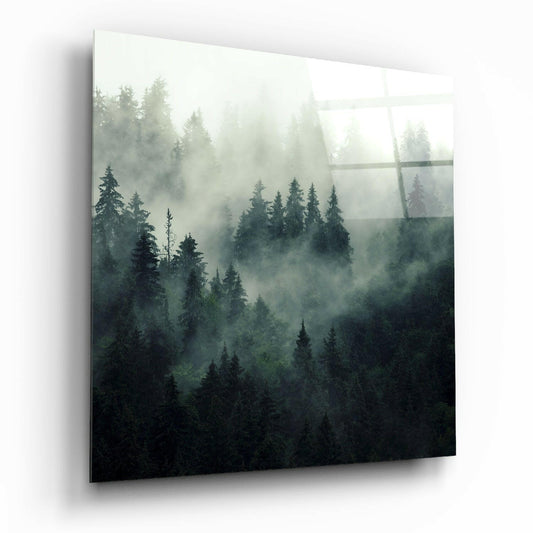 Foggy Forest Glass Wall Art.